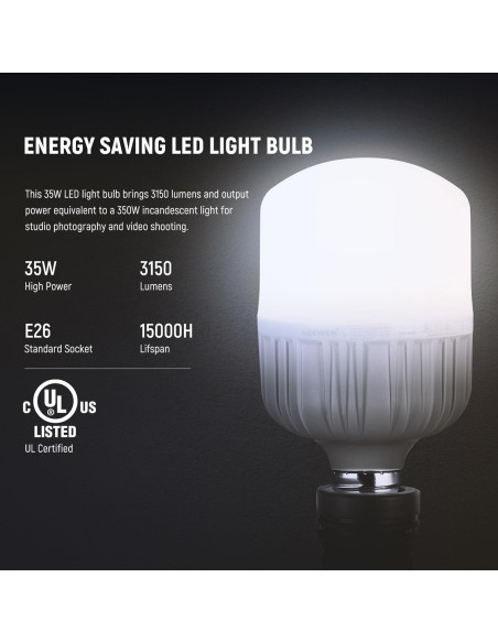 Kit de Iluminación Neewer 700W LED 2 Softboxes 60x60cm