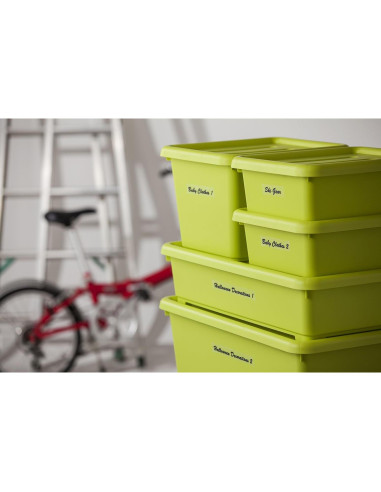 Etiquetadora Brother P-Touch PTD400AD, Monocromática, QWERTY