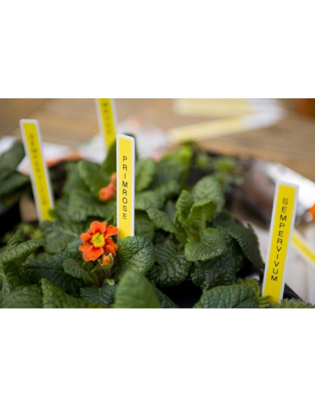 Etiquetadora Brother P-Touch PTD400AD, Monocromática, QWERTY