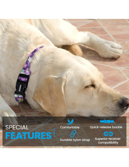 Correa de Nylon Pequeña Gracie To The Rescue 25.4-30.5 cm Flor Negra