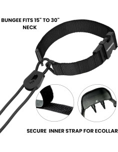 Correa de Reemplazo Bungee Táctica Gracie 2.54 cm Azul 2