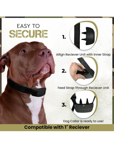 Correa de Reemplazo Bungee Táctica Gracie 2.54 cm Azul