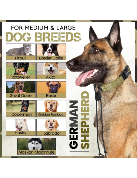 Correa de Reemplazo Bungee Táctica Gracie 2.54 cm Azul