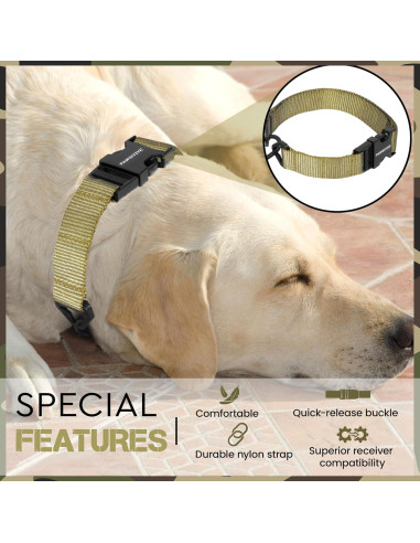 Correa de Reemplazo Bungee Táctica Gracie 2.54 cm Azul