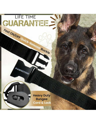 Correa de Reemplazo Bungee Táctica Gracie 2.54 cm Azul