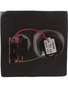 Interruptor de Apagado con Alarma Pentair ESO2 para Piscinas 2