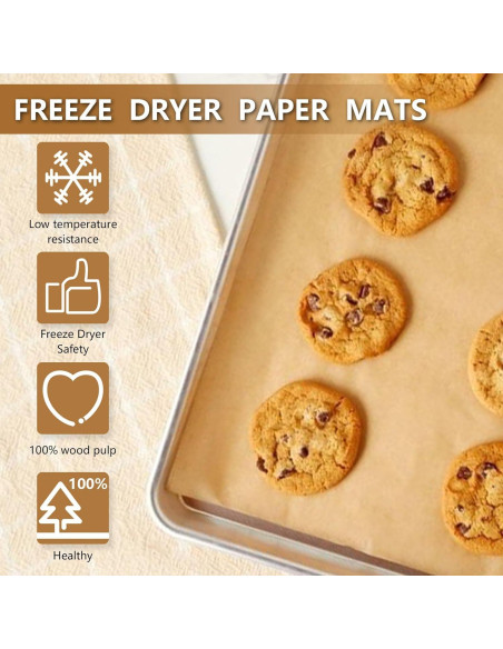 Juego de Tapetes para Bandejas Grandes LSKHEGWLU 100 PCS