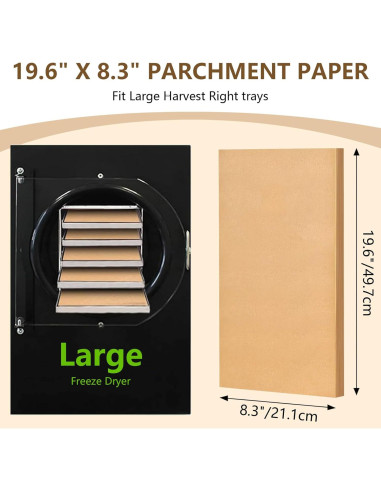 Juego de Tapetes para Bandejas Grandes LSKHEGWLU 100 PCS