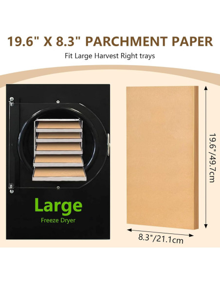 Juego de Tapetes para Bandejas Grandes LSKHEGWLU 100 PCS