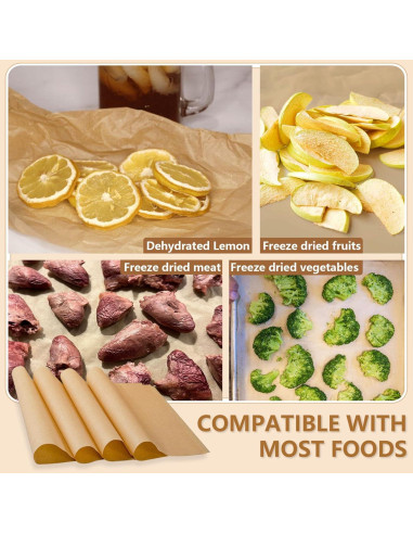 Juego de Tapetes para Bandejas Grandes LSKHEGWLU 100 PCS