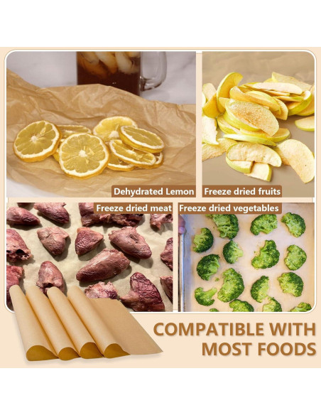 Juego de Tapetes para Bandejas Grandes LSKHEGWLU 100 PCS