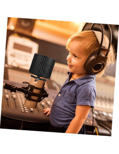 Filtro de Micrófono en Forma de U Vaguelly - Reducción de Ruido 2