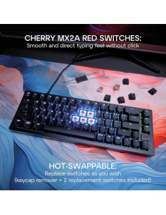 Teclado Mecánico para Juegos Xtrfy K5V2 65% RGB Negro 2