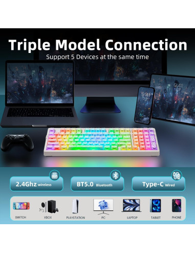 Teclado Mecánico Inalámbrico ZORNHER ZH980 95% RGB PBT