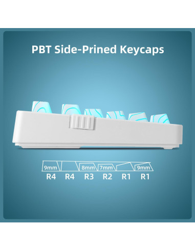 Teclado Mecánico Inalámbrico ZORNHER ZH980 95% RGB PBT