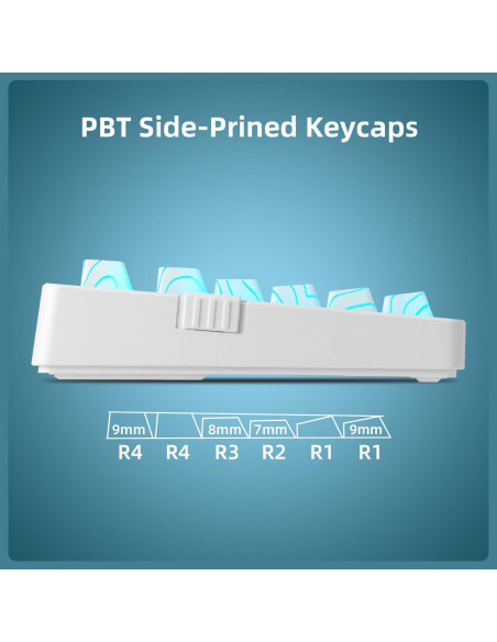 Teclado Mecánico Inalámbrico ZORNHER ZH980 95% RGB PBT