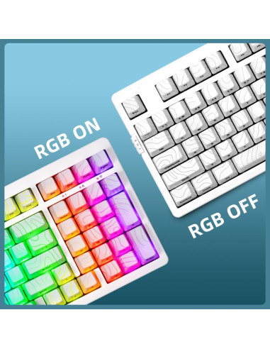 Teclado Mecánico Inalámbrico ZORNHER ZH980 95% RGB PBT