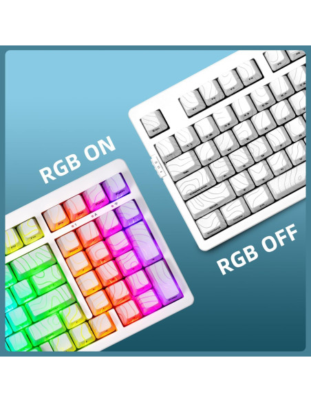 Teclado Mecánico Inalámbrico ZORNHER ZH980 95% RGB PBT