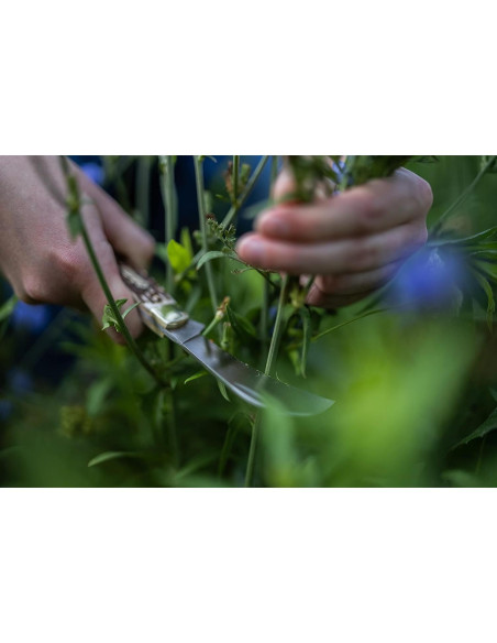 Tijera Plegable Hawkbill Uncle Henry 16UH 17.8 cm Caza Camping Tijera Plegable Hawkbill Uncle Henry 16UH 17.8 cm Caza Camping