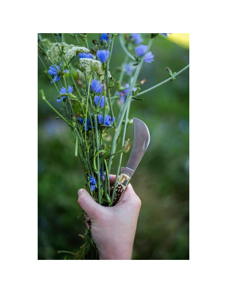 Tijera Plegable Hawkbill Uncle Henry 16UH 17.8 cm Caza Camping Tijera Plegable Hawkbill Uncle Henry 16UH 17.8 cm Caza Camping