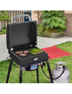 Caja de Parrilla BBQ Deluxe Camp Chef 14" para Exterior 2
