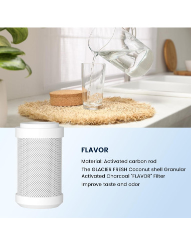 Cartuchos de Filtro de Agua GLACIER FRESH para RV - 0.2 Micrones