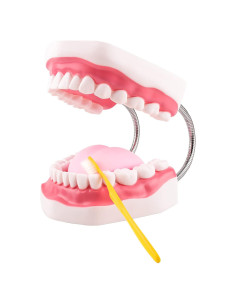 Modelo de Boca Ultrassist 6x Ampliado con Bisagra Metal