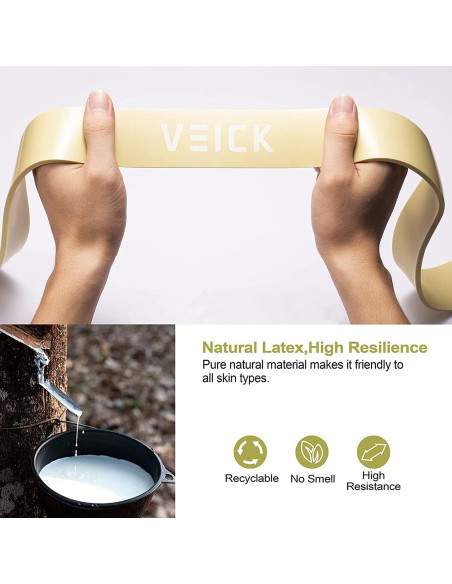 Bandas de Resistencia VEICK 4 Niveles para Ejercicio y Dominadas