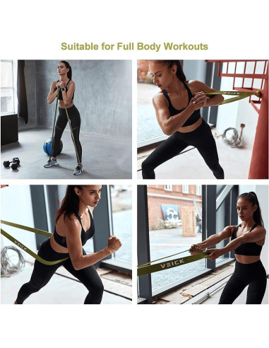 Bandas de Resistencia VEICK 4 Niveles para Ejercicio y Dominadas