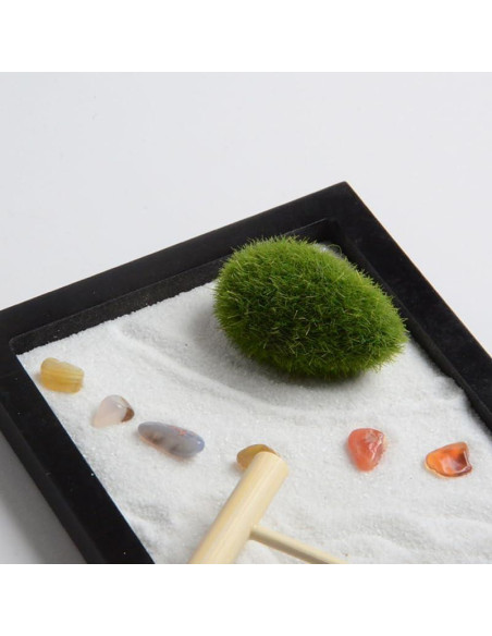 Jardín Zen Miniatura Artibetter 15x12 cm Decoración de Mesa