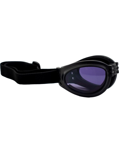 Gafas de Motocicleta Birdz Plegables Negras con Lentes Claros y Morados