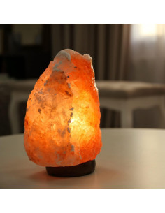 Lámpara de Sal del Himalaya Spantik 18 cm Regulable Madera 2