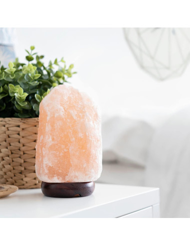 Lámpara de Sal del Himalaya Spantik 18 cm Regulable Madera