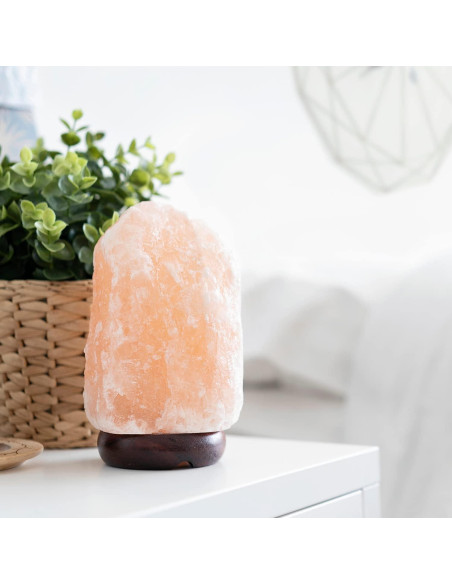 Lámpara de Sal del Himalaya Spantik 18 cm Regulable Madera