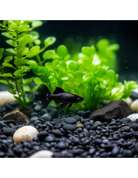 Piedras de Río Pulidas StoneCreek 0.91 kg Decorativas Jardín