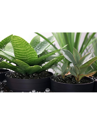 Piedras de Río Pulidas StoneCreek 0.91 kg Decorativas Jardín