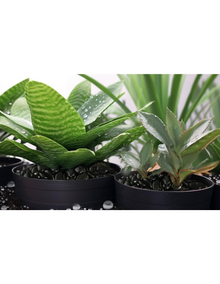 Piedras de Río Pulidas StoneCreek 0.91 kg Decorativas Jardín