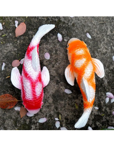 Juego de 2 Estatuas de Koi Solar Tooyuart para Jardín 2