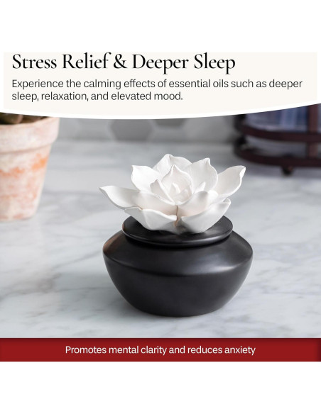 Difusor de Aceite Esencial Airomé PDGAR con 15ml Menta