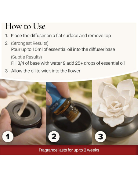 Difusor de Aceite Esencial Airomé PDGAR con 15ml Menta