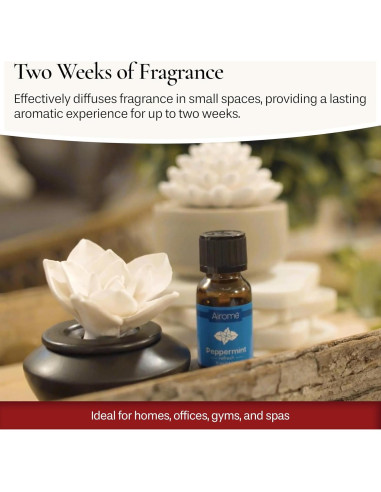 Difusor de Aceite Esencial Airomé PDGAR con 15ml Menta