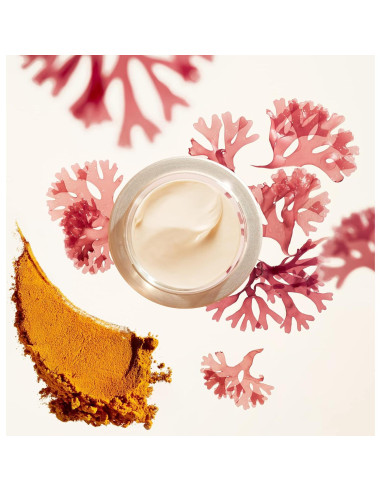 Crema de Día Antienvejecimiento Shiseido Benefiance 50 mL SPF 23