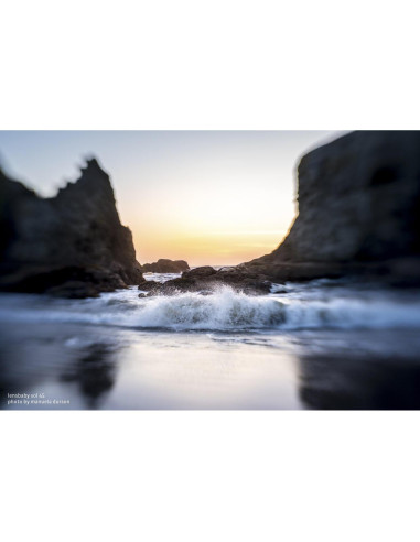 Objetivo Lensbaby Sol 45 para Canon EF - Bokeh suave - 150g