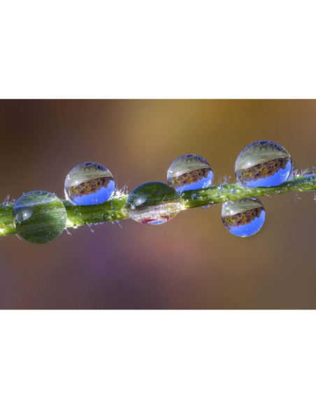 Lente Macro 85mm f/5.6 2X Laowa para Cámara Nikon Z