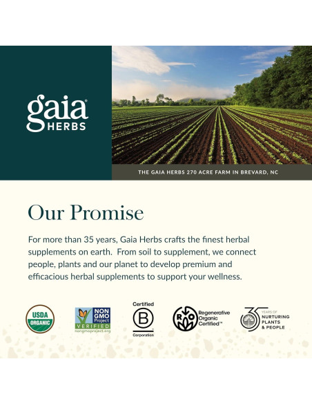 Suplemento Hepático Gaia Herbs Cardo Mariano 120 Cápsulas Veganas Suplemento Hepático Gaia Herbs Cardo Mariano 120 Cápsulas Veganas