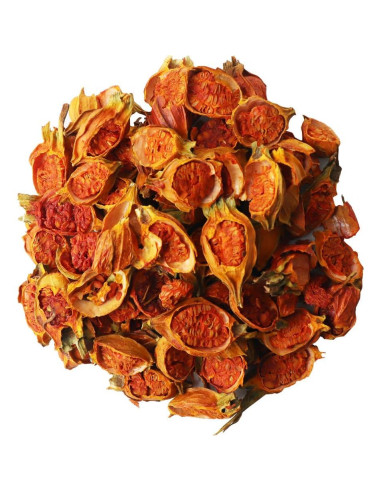 Extracto en polvo de fruta de gardenia orgánico 500g premium