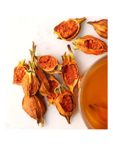 Extracto en polvo de fruta de gardenia orgánico 500g premium