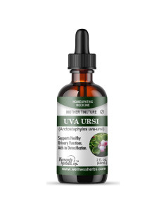 Tintura Madre Uva Ursi 59.15 ml Heavenly Herbals - Bienestar Urinario