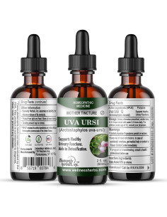 Tintura Madre Uva Ursi 59.15 ml Heavenly Herbals - Bienestar Urinario 2