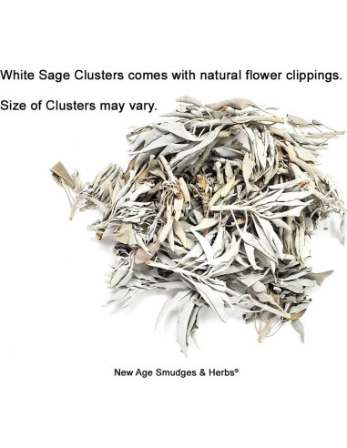 Hojas de Salvia Blanca Orgánica 453g New Age Smudges